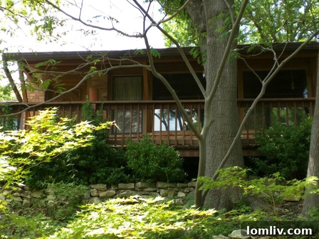 Pyka Lodge Deck: A Historic North Oak Cliff Retreat