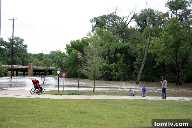 Woman and children observing flooded greenbelt near Lawther and Northwest Highway