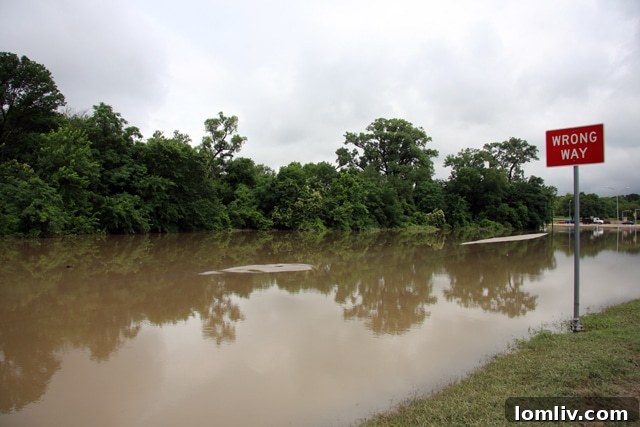 Buckner Boulevard and Northwest Highway access road still under several inches of water