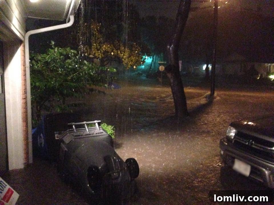 Lori Roberts' front yard partially submerged by floodwaters in Casa View Haven