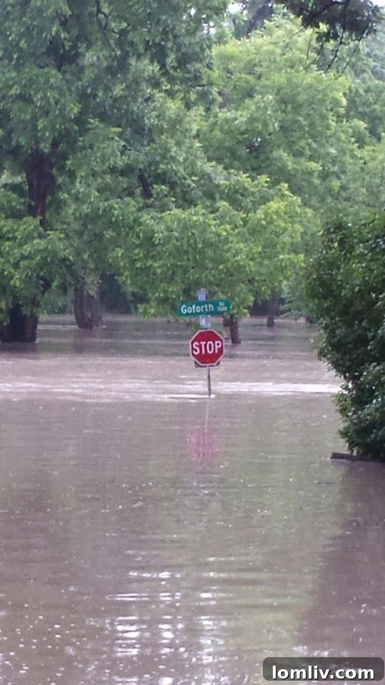 Goforth Dr. and Eagle Trail under several feet of water