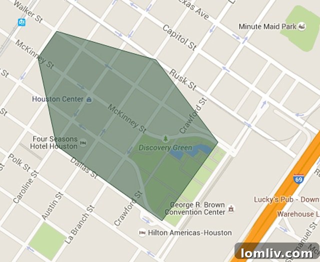 Experian Reveals Texas Most Affluent ZIP Codes 3 77010-Map