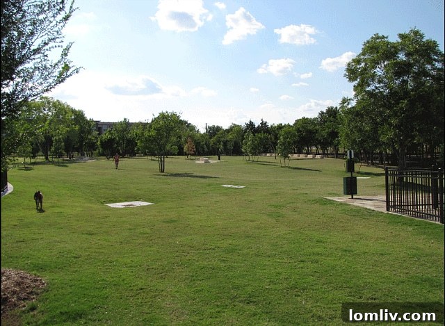 DFW's Hidden Gems: 5 Neighborhoods With Unexpected Dog Play Zones 12 Expansive green space and trails at NorthBark Dog Park