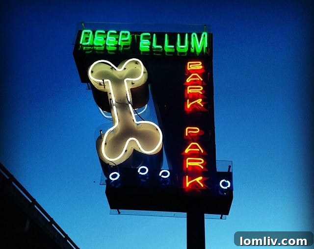 DFW's Hidden Gems: 5 Neighborhoods With Unexpected Dog Play Zones 3 Dogs playing joyfully at Bark Park Central in Deep Ellum