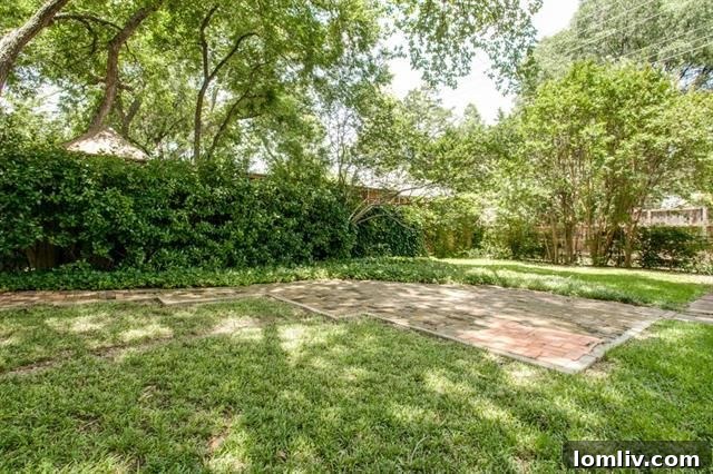 Patio area in the backyard