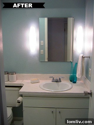 Nolen House Guest Bathroom After