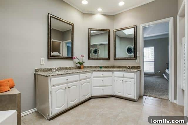 3307 N Spring Dr Richardson TX - Master Bathroom Stained Glass