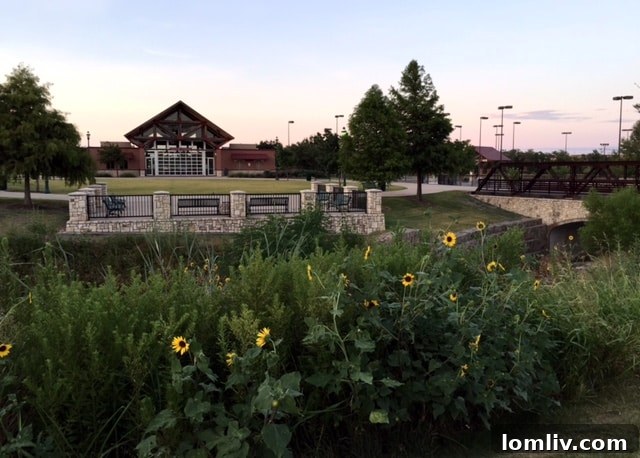 Modern Allen Townhome A+ Schools Walk to Premier Shopping 4 Allen Station Park Visitor Center and Skate Park