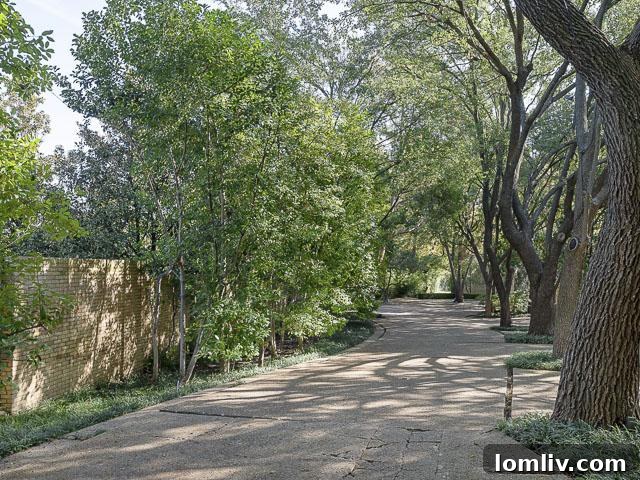 10300-Strait-Lane-drive