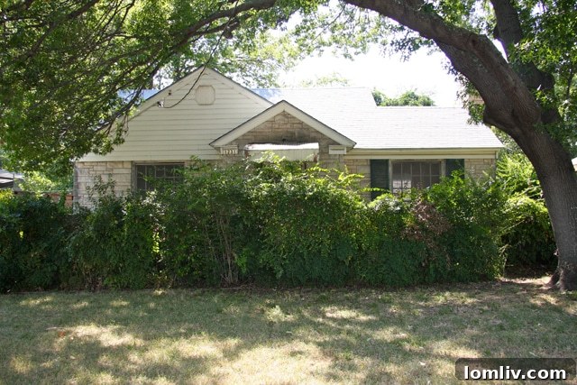 Overgrown bushes hiding a neglected house at 1231 Walter Drive in Stevens Park Village, Dallas