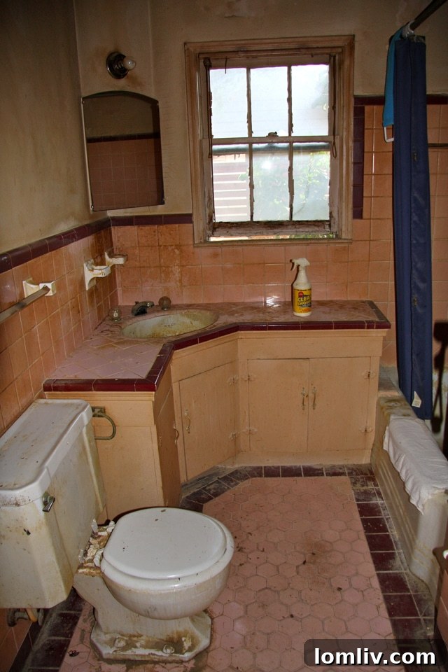 Salvageable pink-and-maroon bathroom tile in a Dallas historic home