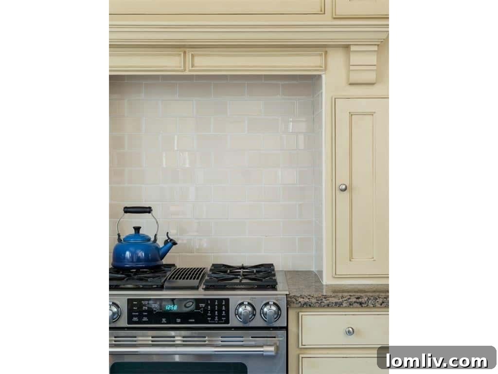 Close-up of the professional-grade stove with a stylish hood in the 3325 Greenbrier kitchen, showcasing high-end details.