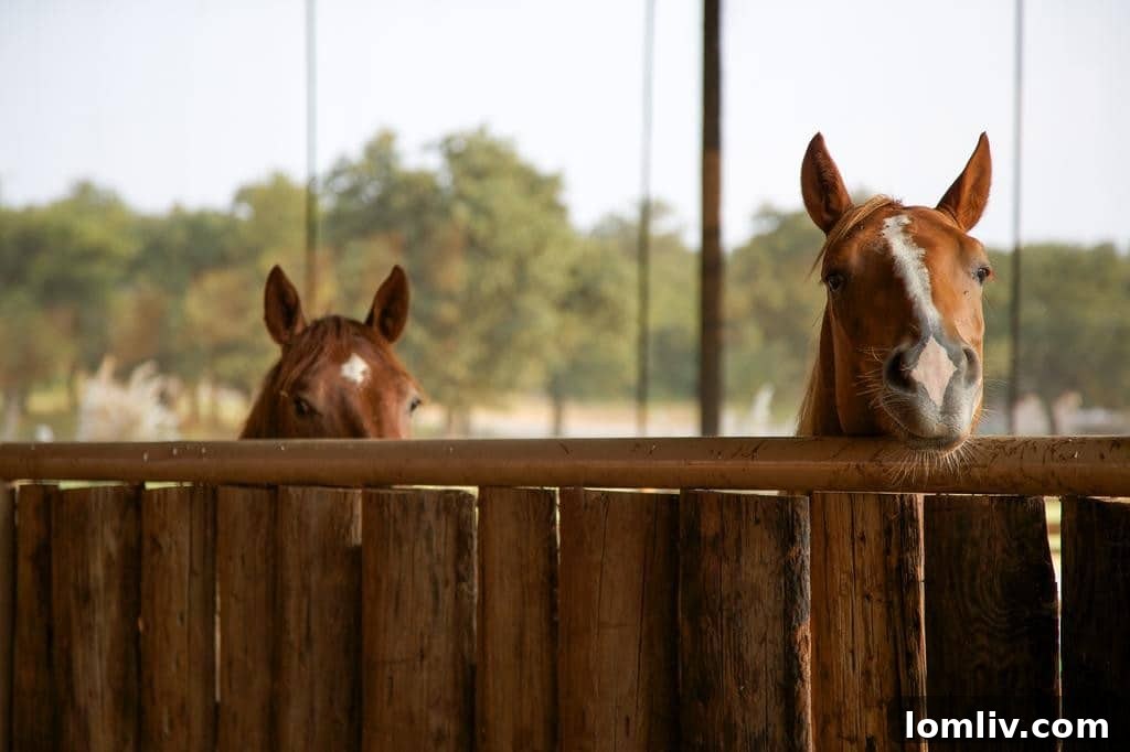 Horses Grazing at Rocking W Ranch