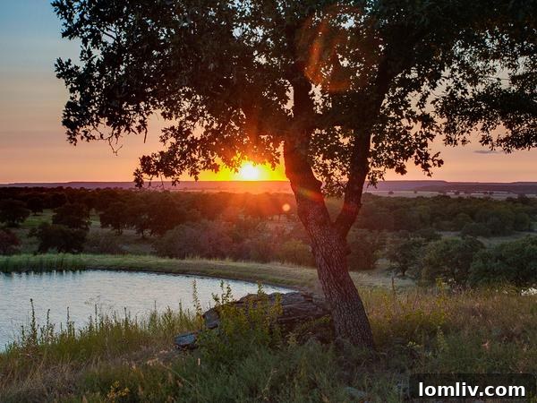 Rocking W Ranch Sunset View of Main House