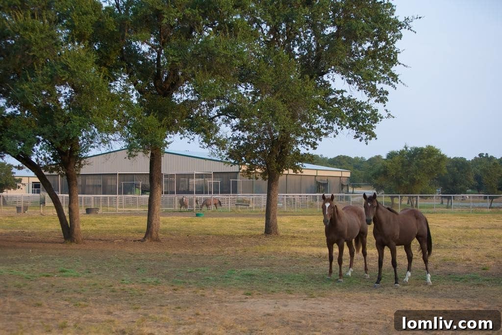 Horses and Arena at Rocking W Ranch