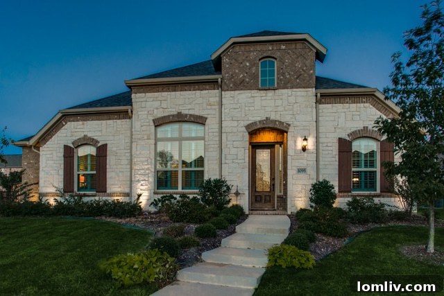 Stunning Move-in Ready Home in Allen, TX - 1095 Arches Park Drive