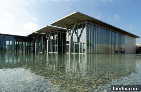 Fort Worth Museum of Modern Art