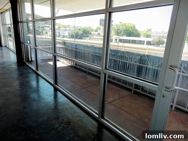 Large, modern windows in Suite 200 offering ample natural light and city views