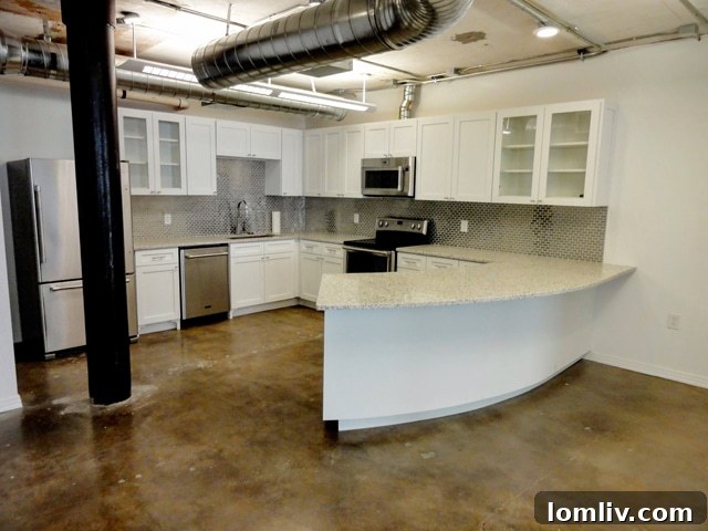 Sleek, contemporary kitchen design in Suite 250, featuring ample counter space