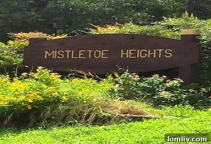 Mystical Allure of Mistletoe Heights Historic Villa 3 Welcome to Mistletoe Heights: Historic Fort Worth Neighborhood Entrance Sign
