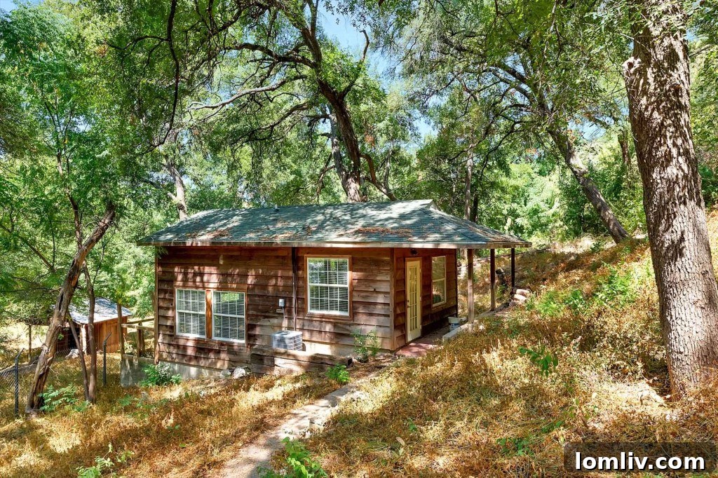 Mystical Allure of Mistletoe Heights Historic Villa 25 Comfortable Living Area within the Self-Contained Guest Quarters