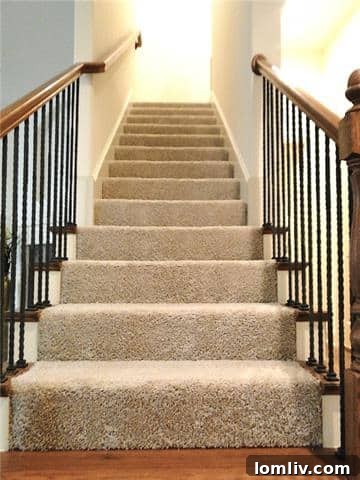 A tightly cropped photo of a carpeted staircase, showing only a small section