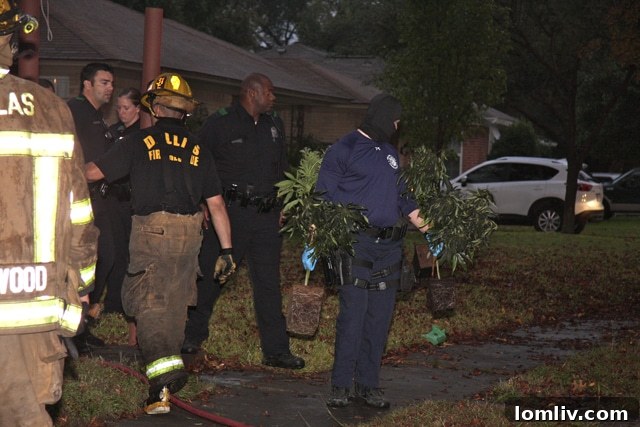 Dallas Fire Rescue and Police investigate marijuana grow house explosion on Carnegie Dr.