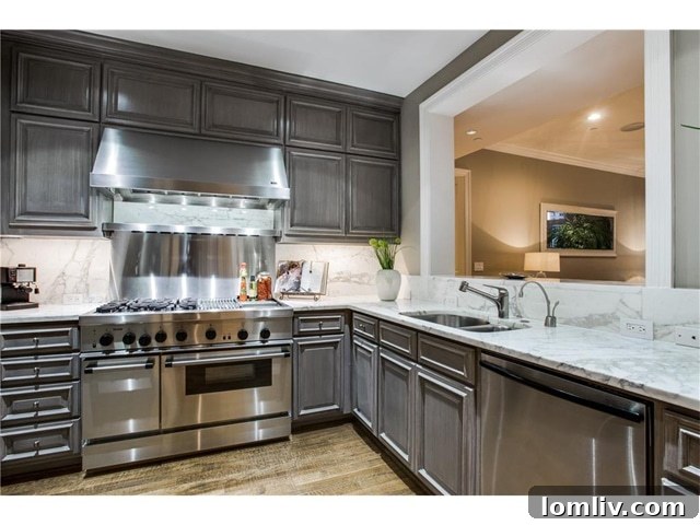 Vendome-12-E-Kitchen - Gourmet Kitchen in Turtle Creek Condo