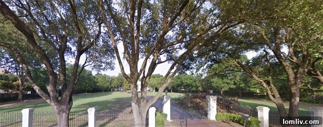 Cole Smith - Renowned Architect