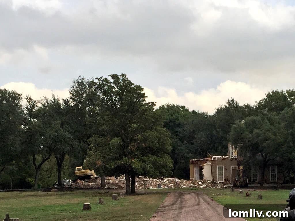 image1 - Demolition Photos Courtesy of David Hale Smith