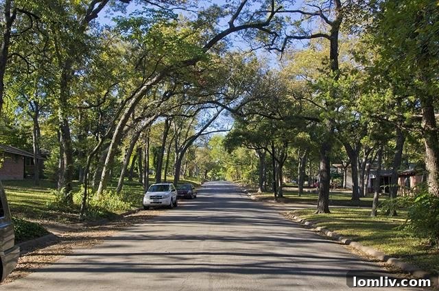 East Dallas Bungalow with Mature Trees