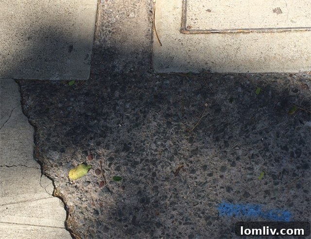 Concrete pattern resembling Texas, seen in Hawaii, for those who believe in symbolic talismans.