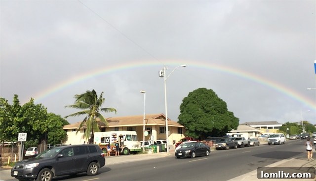 A beautiful rainbow over Hawaii, making an ordinary walk extraordinary.