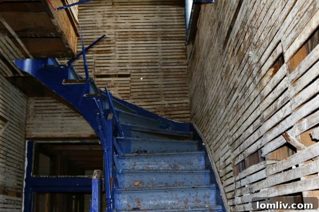 The dilapidated but ornate staircase inside the historic Cedars home, highlighting the extensive restoration work required.