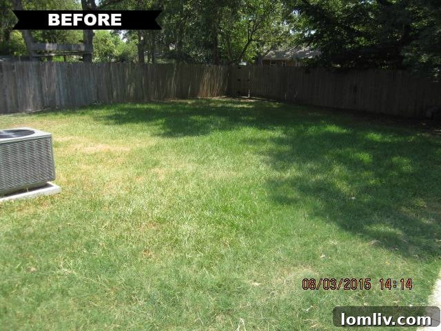 Overgrown Backyard Before Landscaping - 3544 Ainsworth Dr Dallas