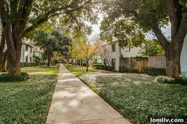 Path leading to the entrance of a Westbury Park condo, surrounded by lush plants.