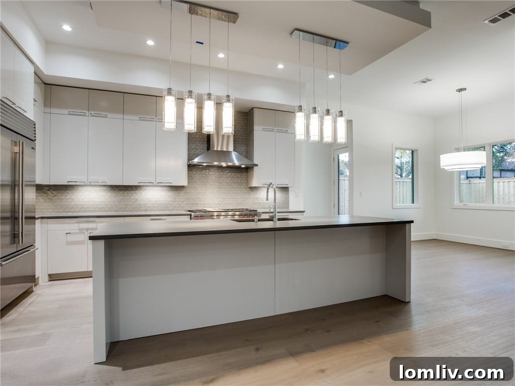 Bryn Mawr Drive Kitchen View 2