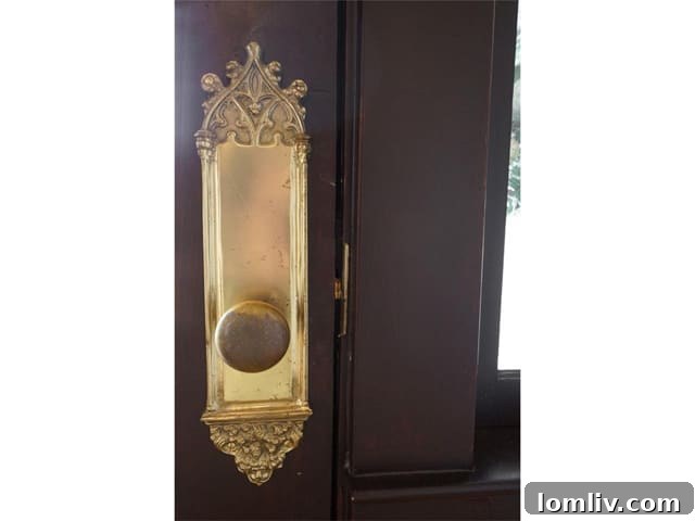Elegant Door Hardware Details