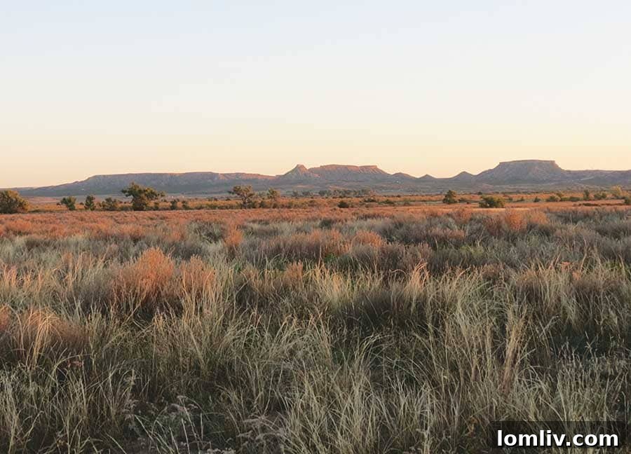 Boone Pickens Mesa Verde Ranch