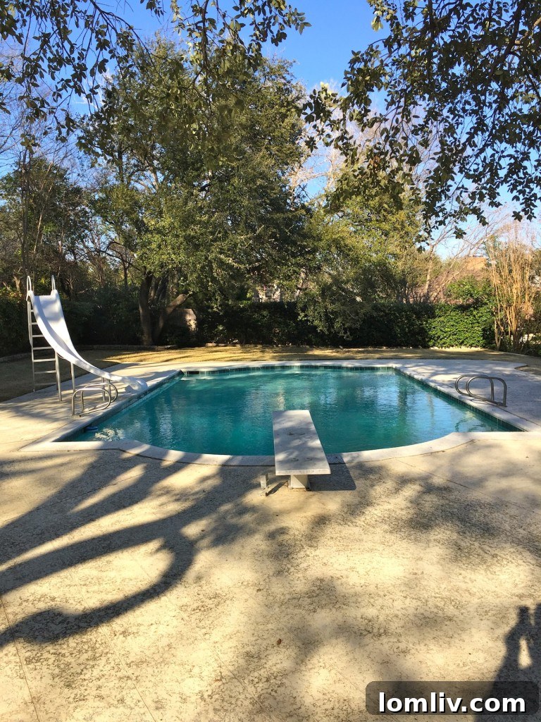 Expansive Backyard with Elevated Pool and Lush Landscaping