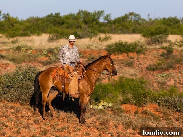 A picturesque scene from the Waggoner Ranch with livestock.