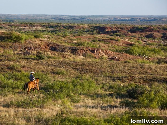 A cowboy on horseback, a common sight at Waggoner Ranch.