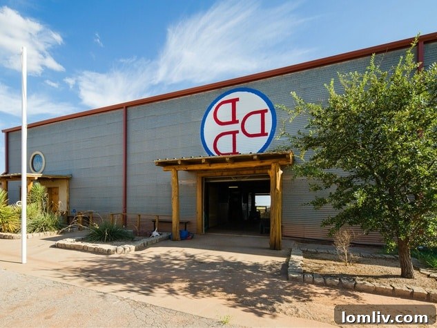 Horses galloping freely on Waggoner Ranch, embodying its equestrian heritage.
