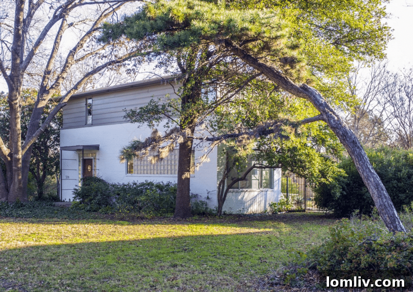 Howard Meyer's Pioneering Modernist Home at 3216 Jacotte Circle, Dallas