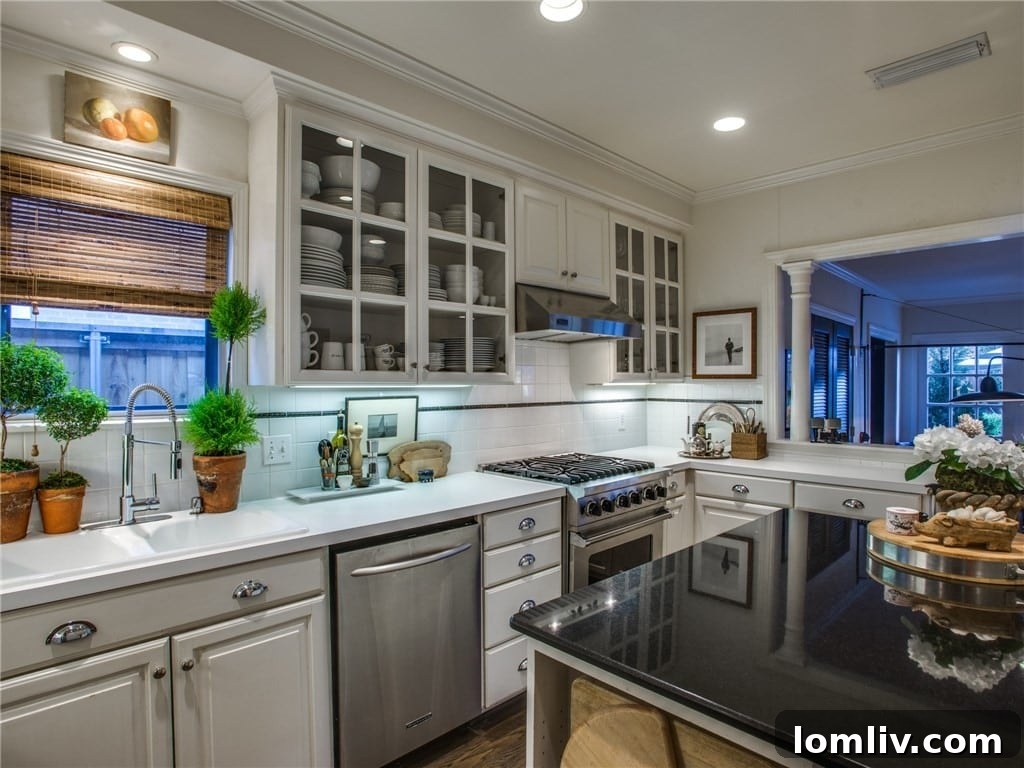 Modern kitchen with professional appliances and island