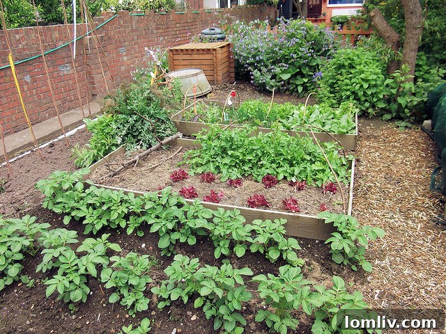 Community members actively participating in an urban garden, fostering connection and growth