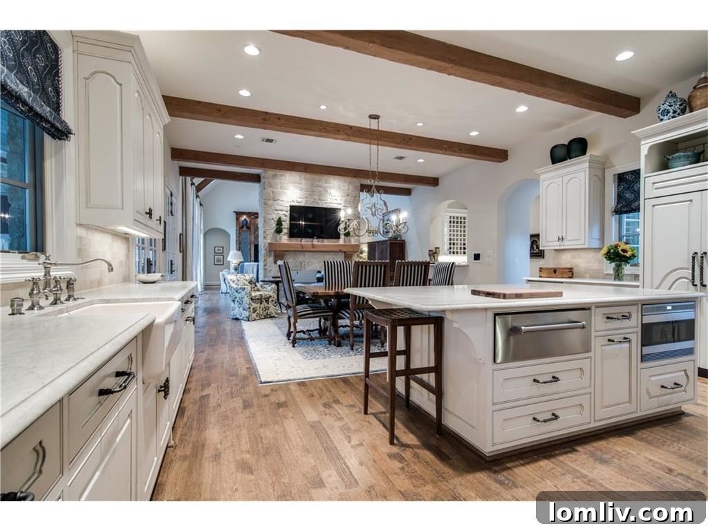 Gourmet Kitchen Interior