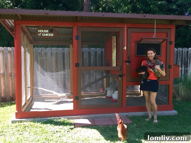 Tina Westmoreland's House of Chicks, a custom-built chicken coop in East Dallas.