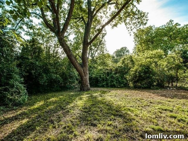 2210-Saint-Francis-t