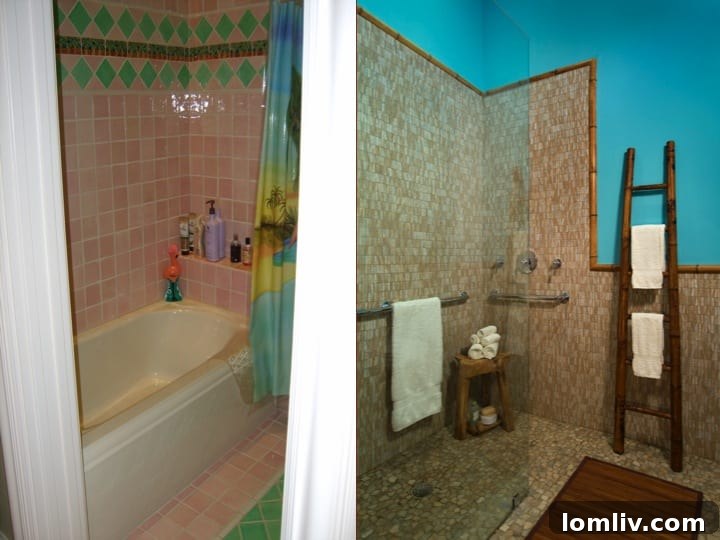 Renovated Bathroom for Accessibility and Modern Style